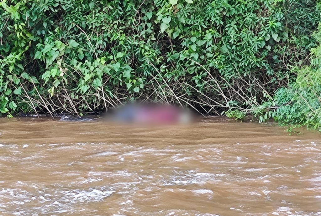Vista geral da ponte sobre o Rio Piquiri na rodovia PR-182 entre Palotina e Francisco Alves