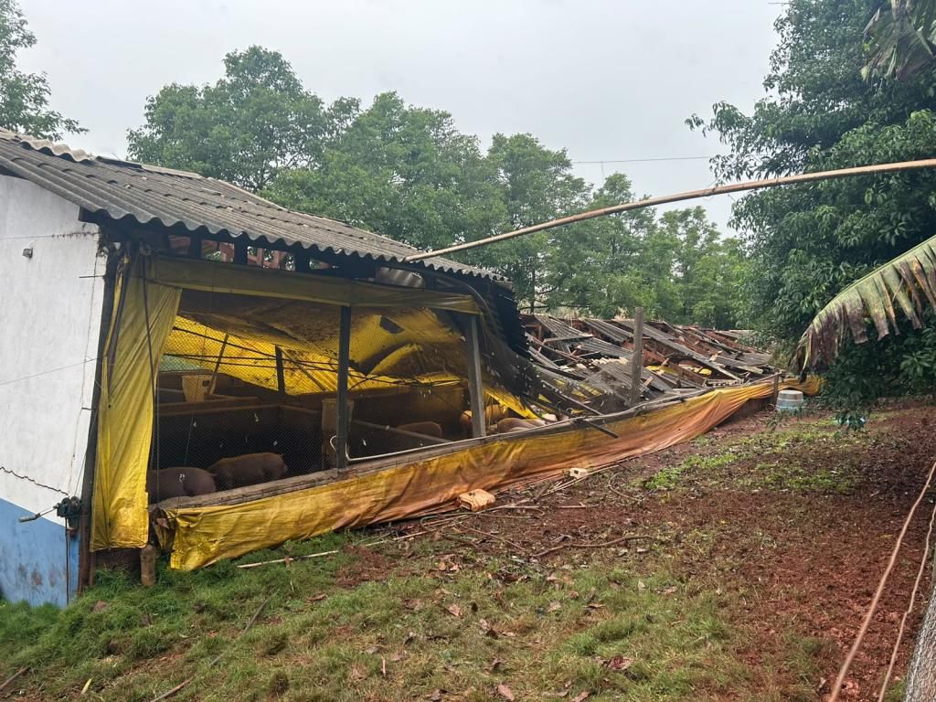 Estrutura metálica de chiqueirão destruída após a passagem de forte temporal na localidade de Vila Cristal, no interior de Nova Santa Rosa